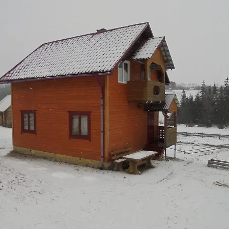 Tatil Evi Lisovychok *