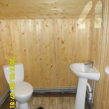 Lisovychok Tatil Evi Vorokhta