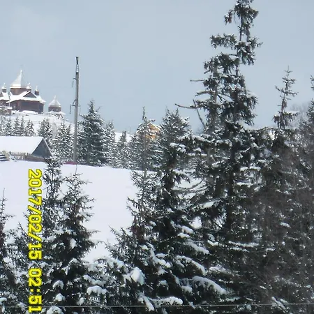 Lisovychok *
