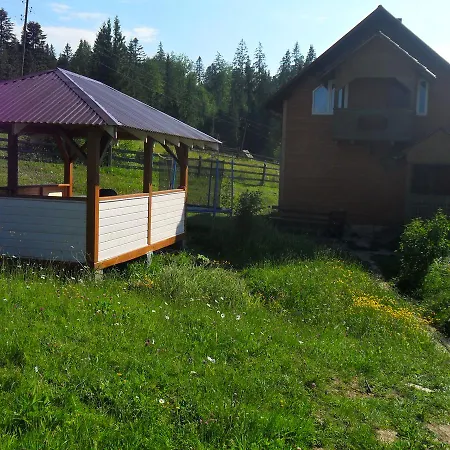 Lisovychok *